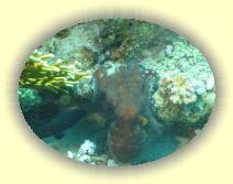 IMG_2007_05_28 14_34_00 * 2272 x 1704 * (614KB)